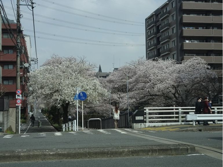 ～桜ツアー　2021～