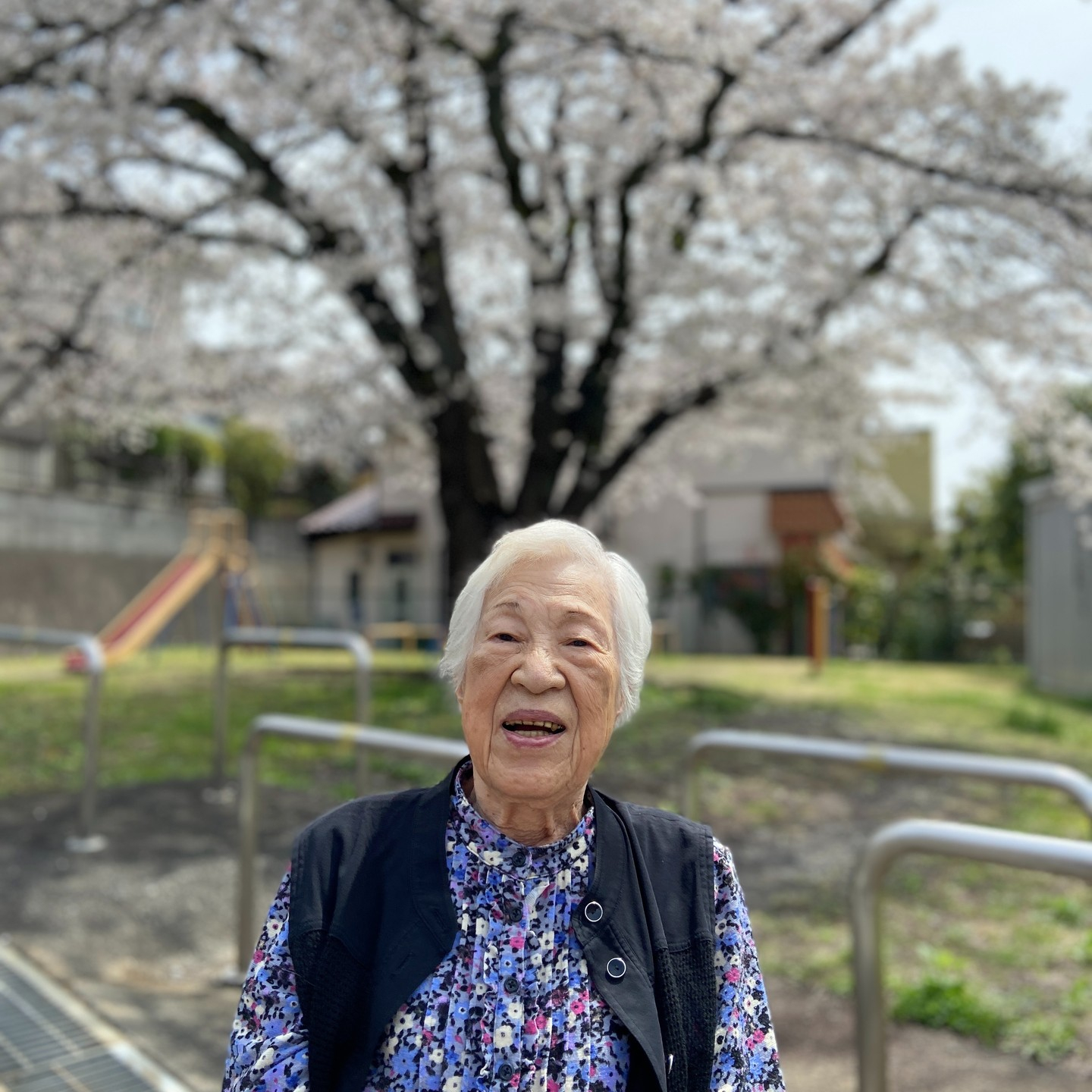 桜満開🌸お花見散歩🚶[午前の部]