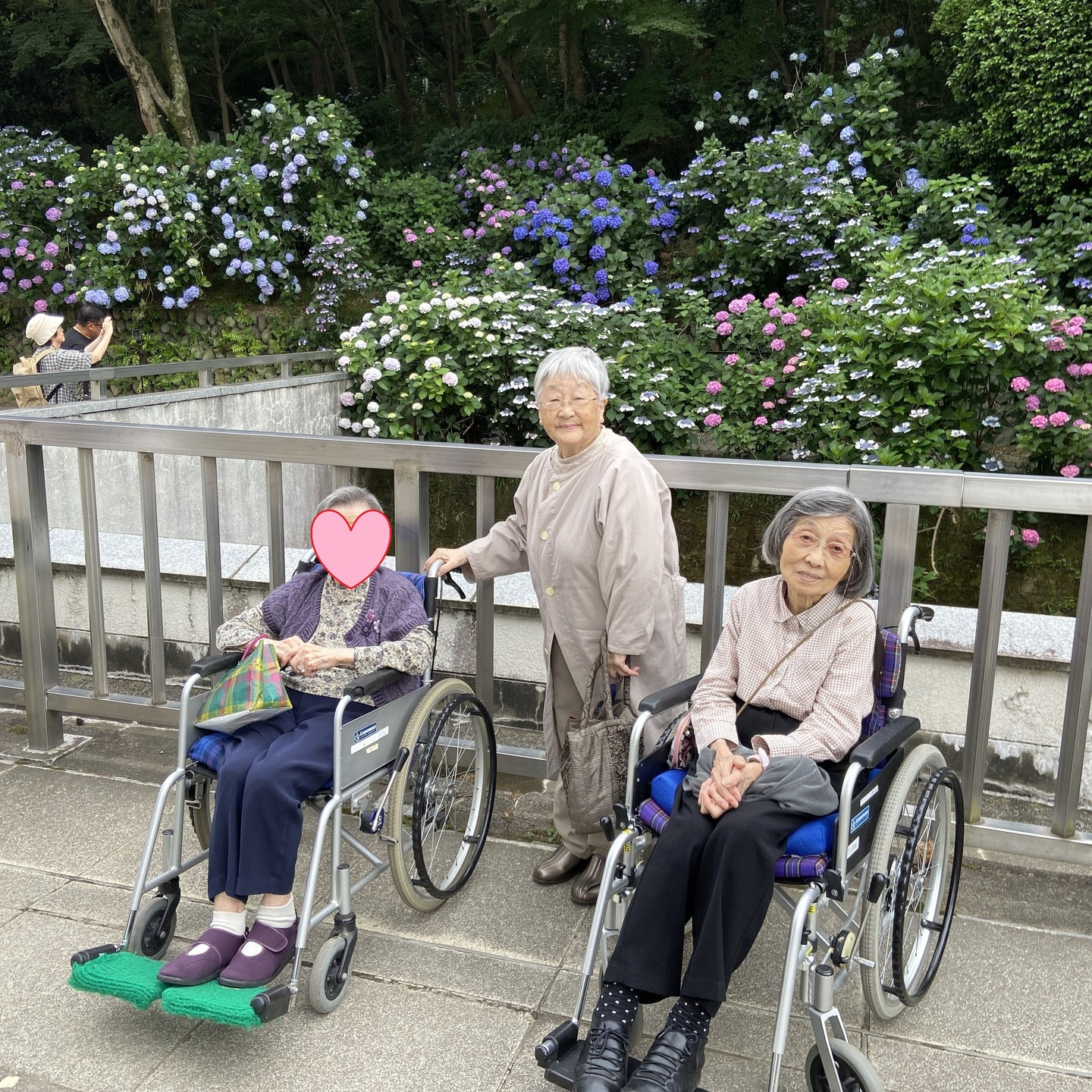 色鮮やか満開のあじさいツアー♬