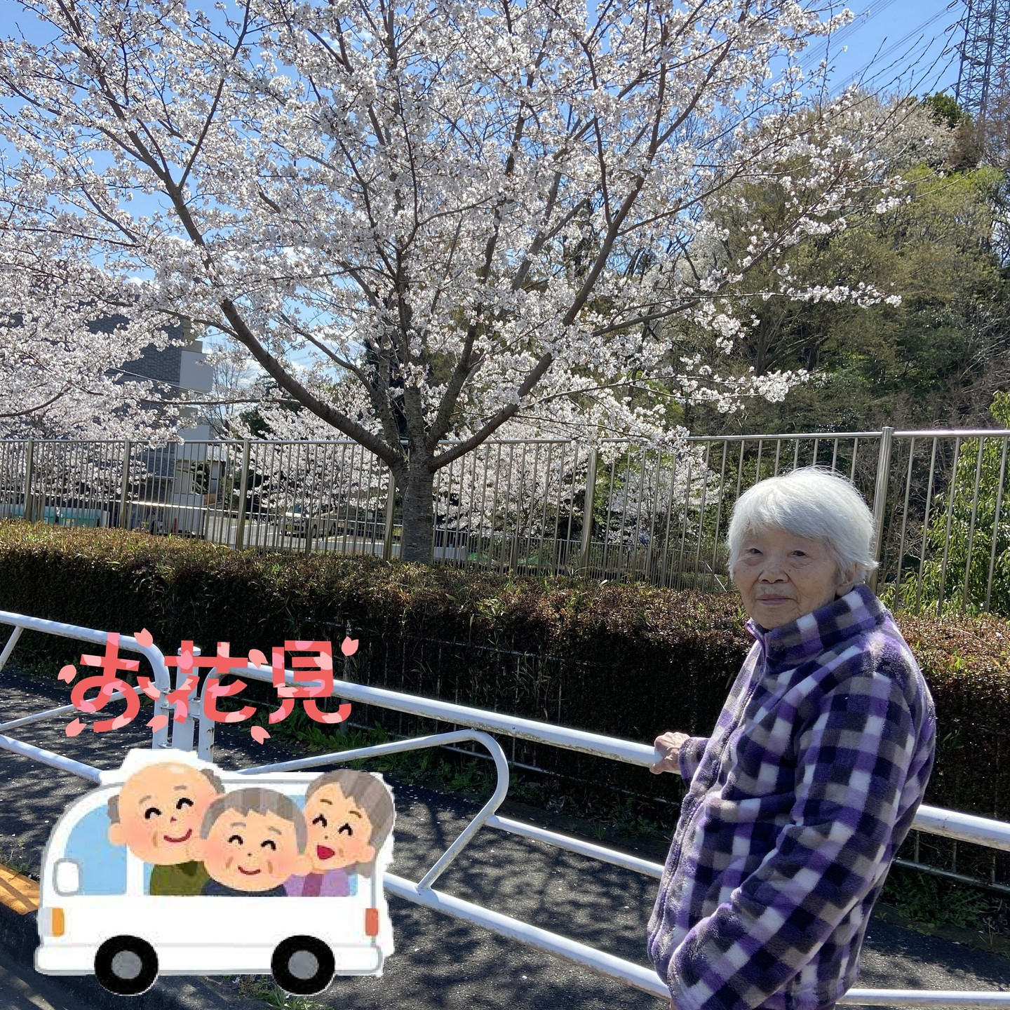 【桜ドライブ＆散歩4/4～4/5】