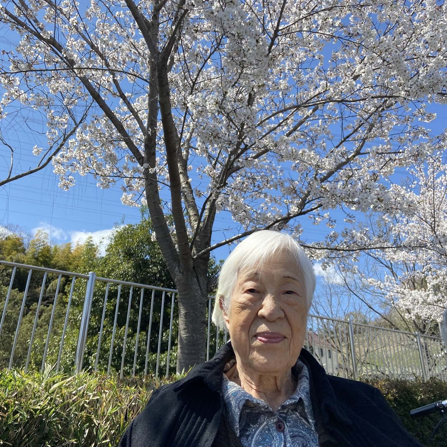 【桜ドライブ＆散歩4/4～4/5】