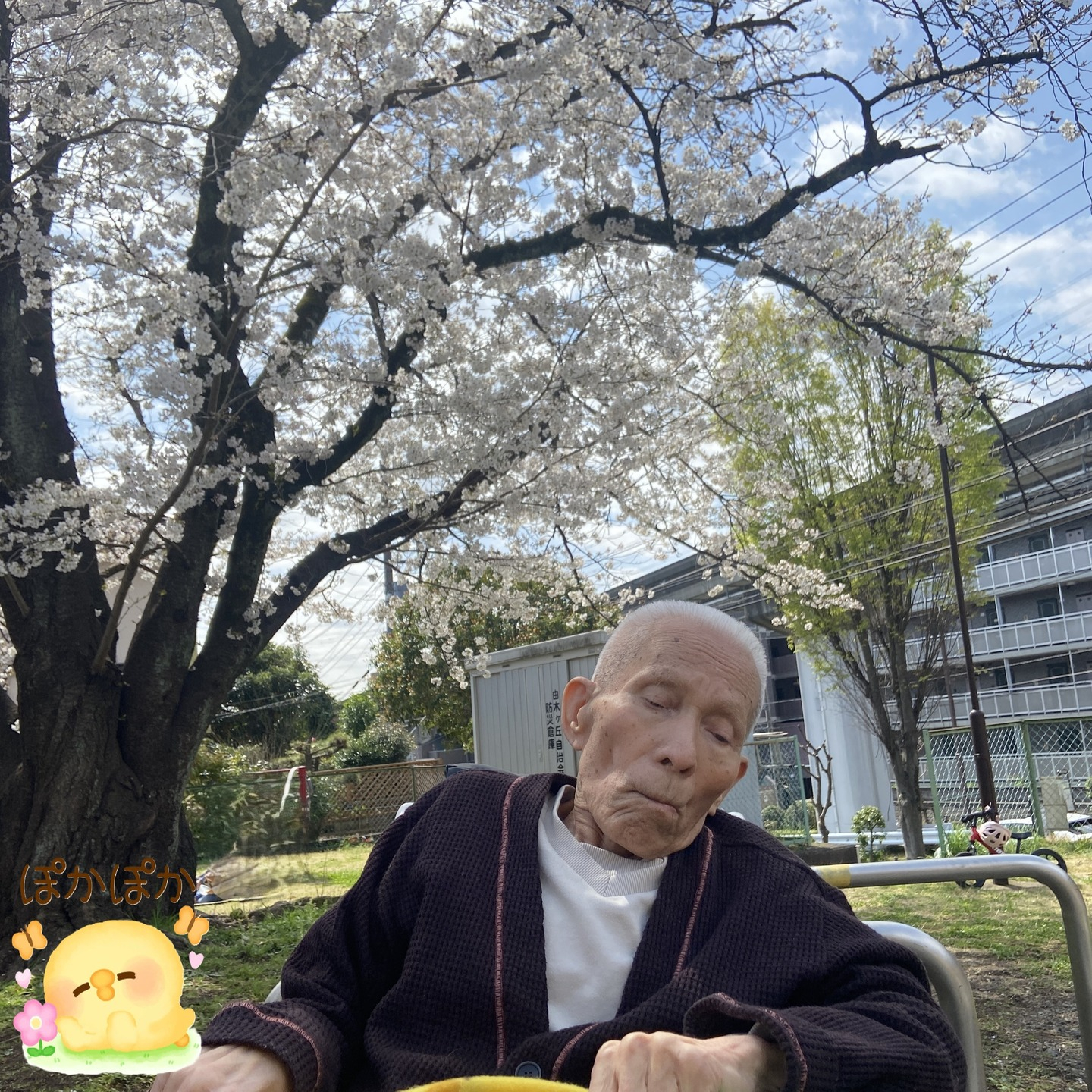 【桜ドライブ＆散歩4/4～4/5】