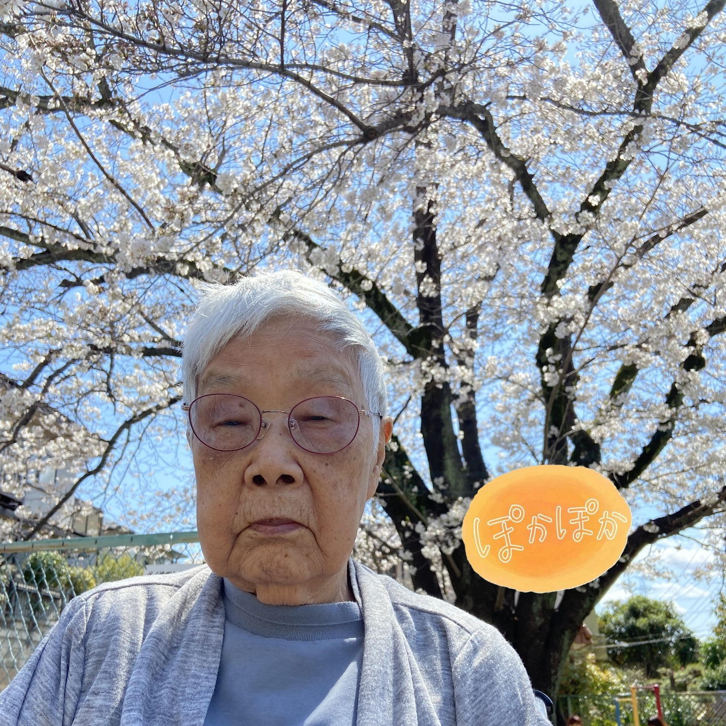 【桜ドライブ＆散歩4/4～4/5】