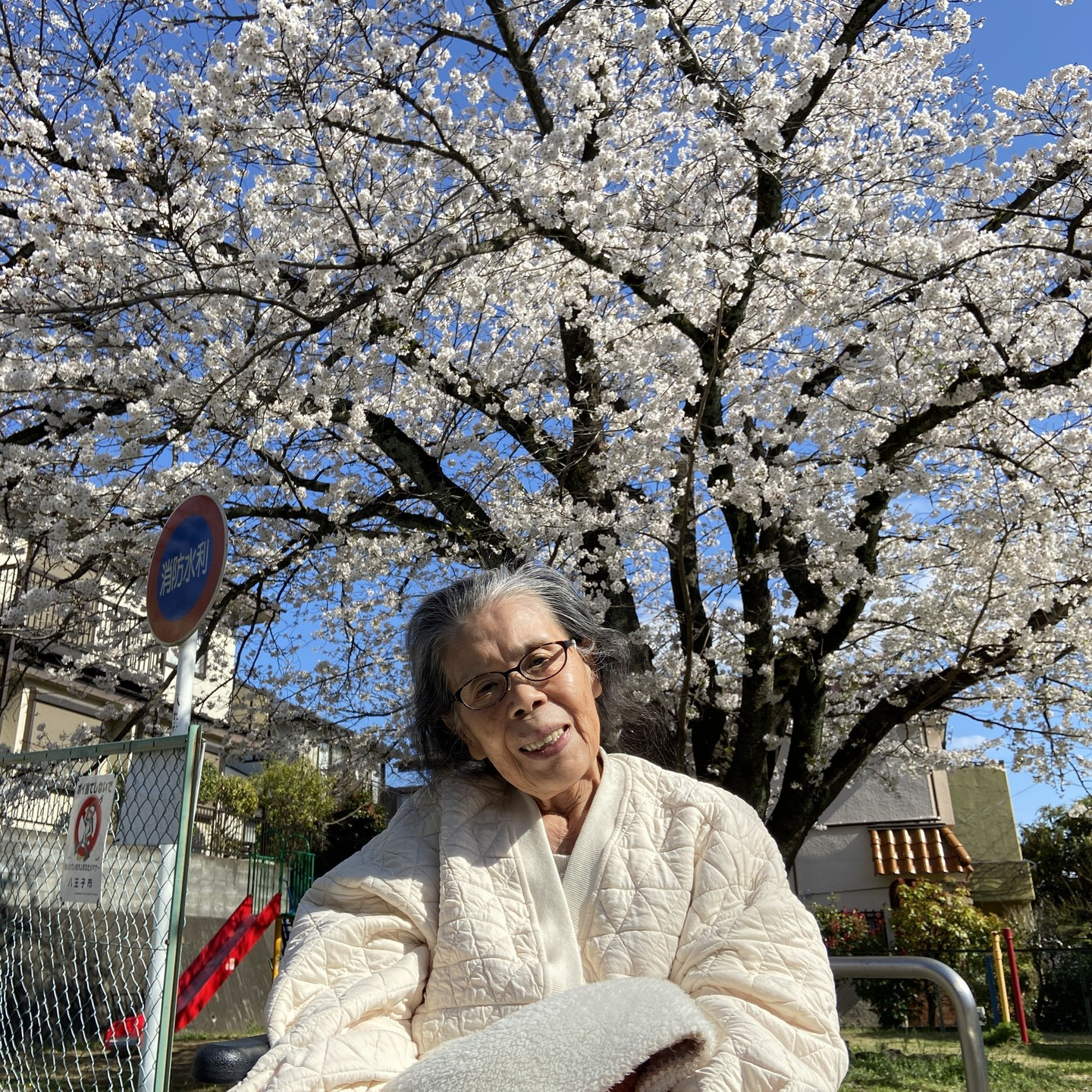 【桜ドライブ＆散歩4/5～4/6】