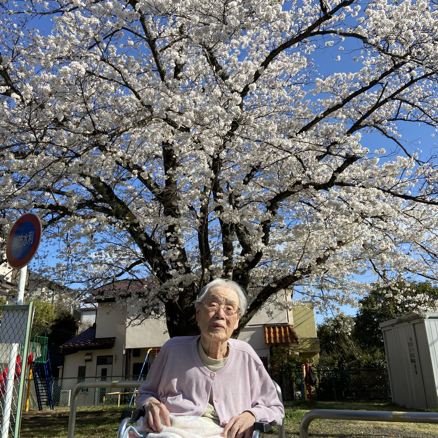 【桜ドライブ＆散歩4/5～4/6】