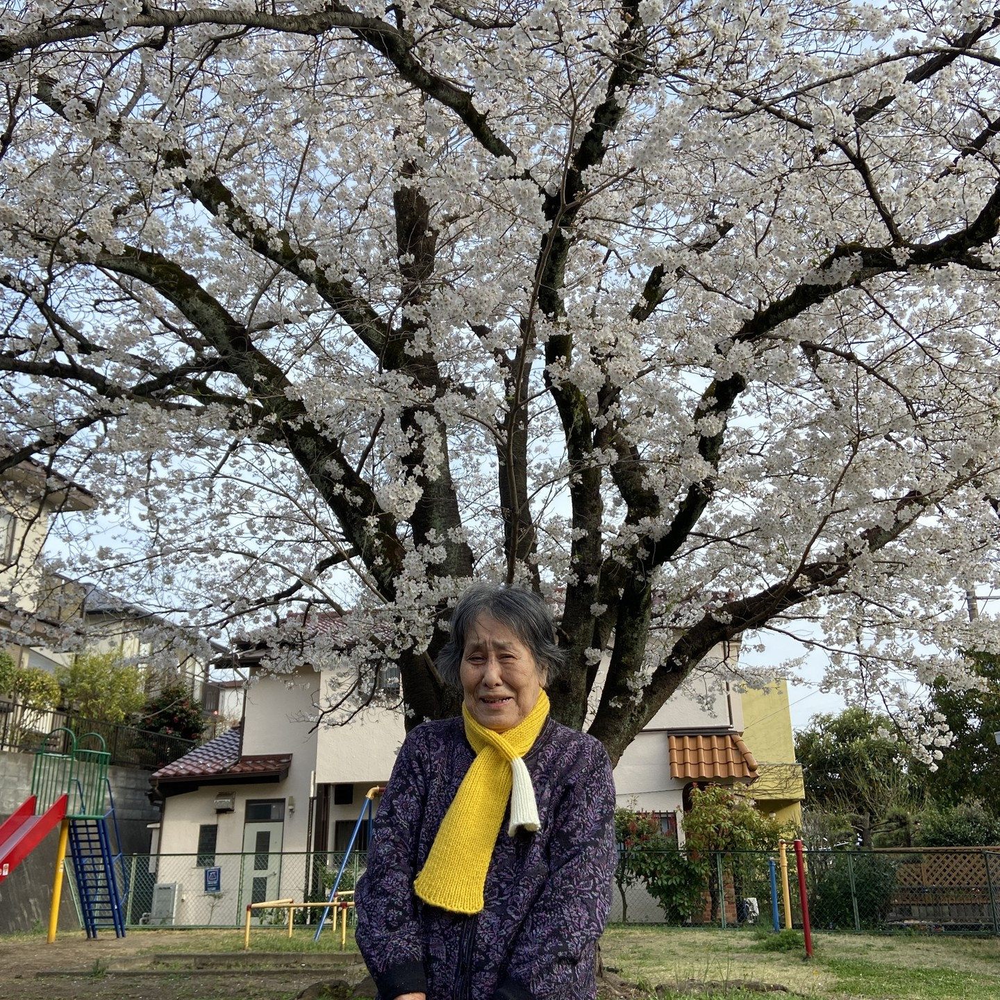 【桜ドライブ＆散歩4/5～4/6】