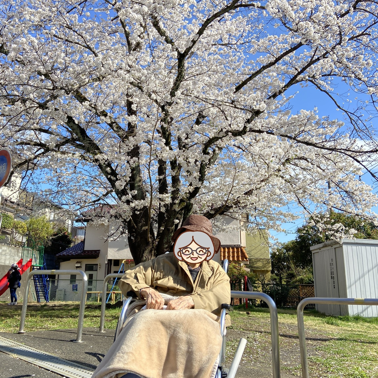 【桜ドライブ＆散歩4/5～4/6】