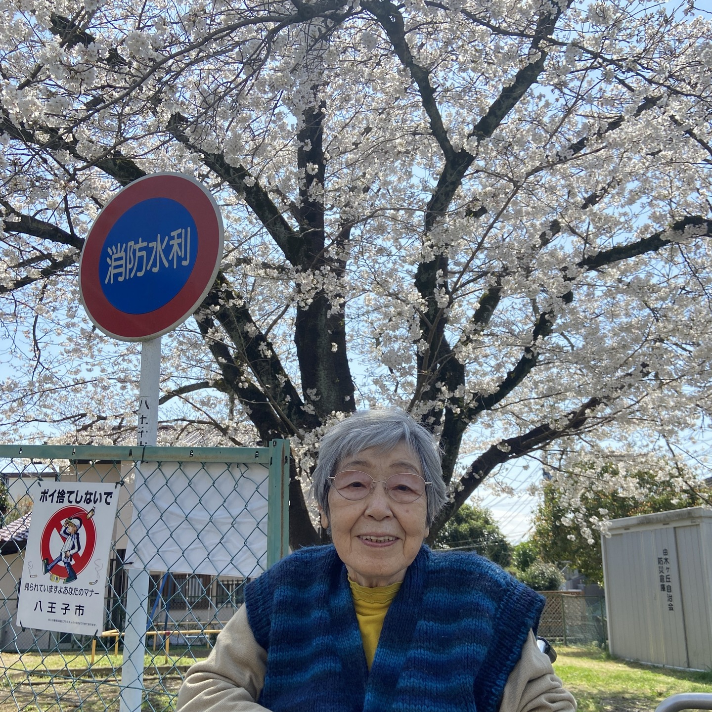 【桜ドライブ＆散歩4/5～4/6】