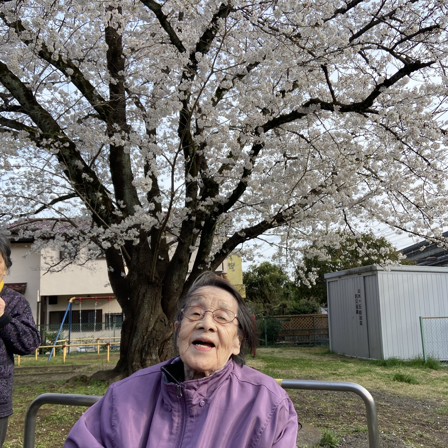 【桜ドライブ＆散歩4/5～4/6】