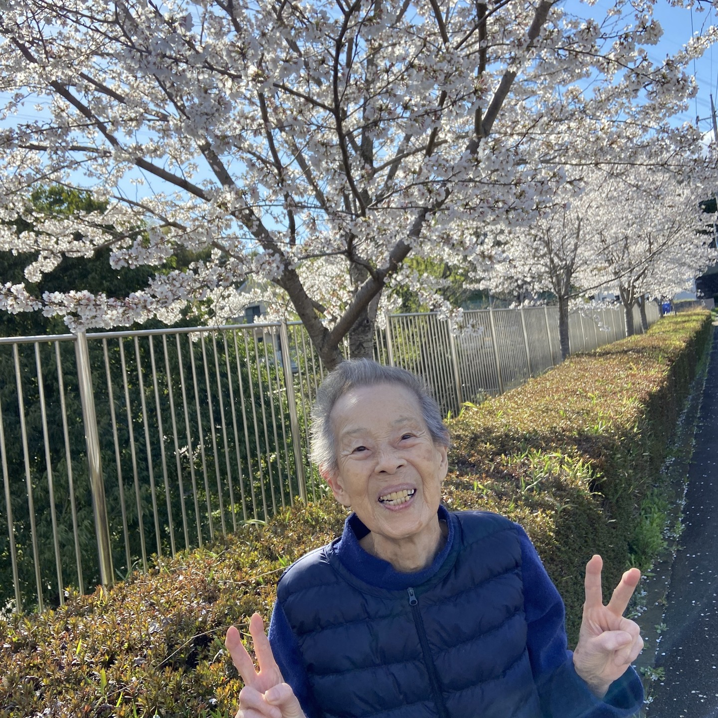 【桜ドライブ＆散歩4/5～4/6】