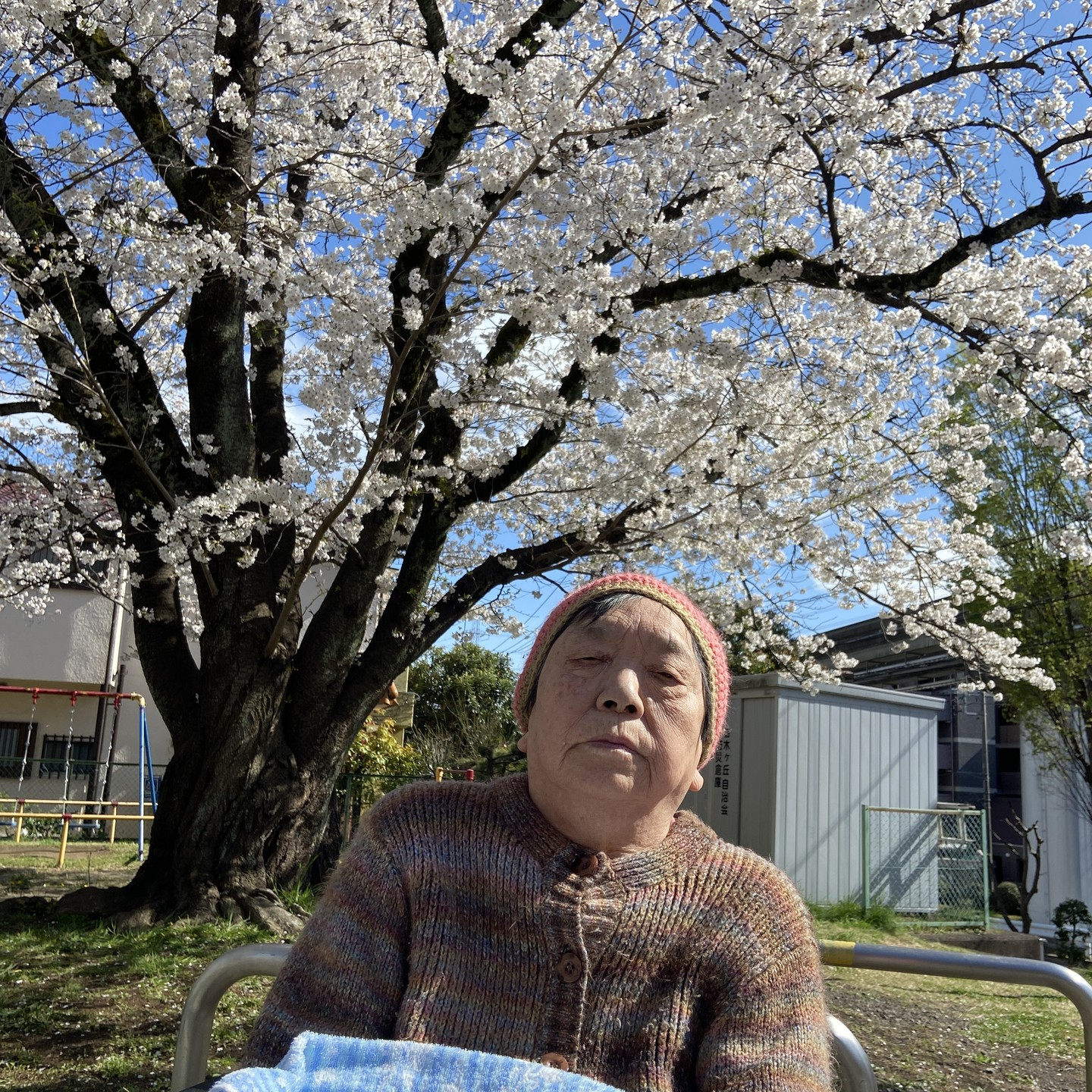 【桜ドライブ＆散歩4/5～4/6】