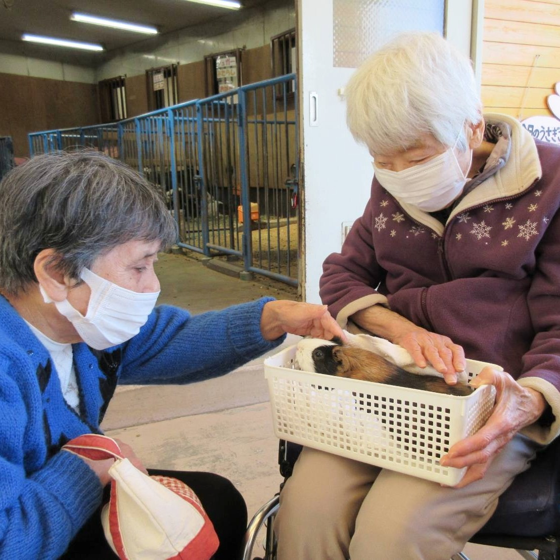 【夢のおでかけレク】