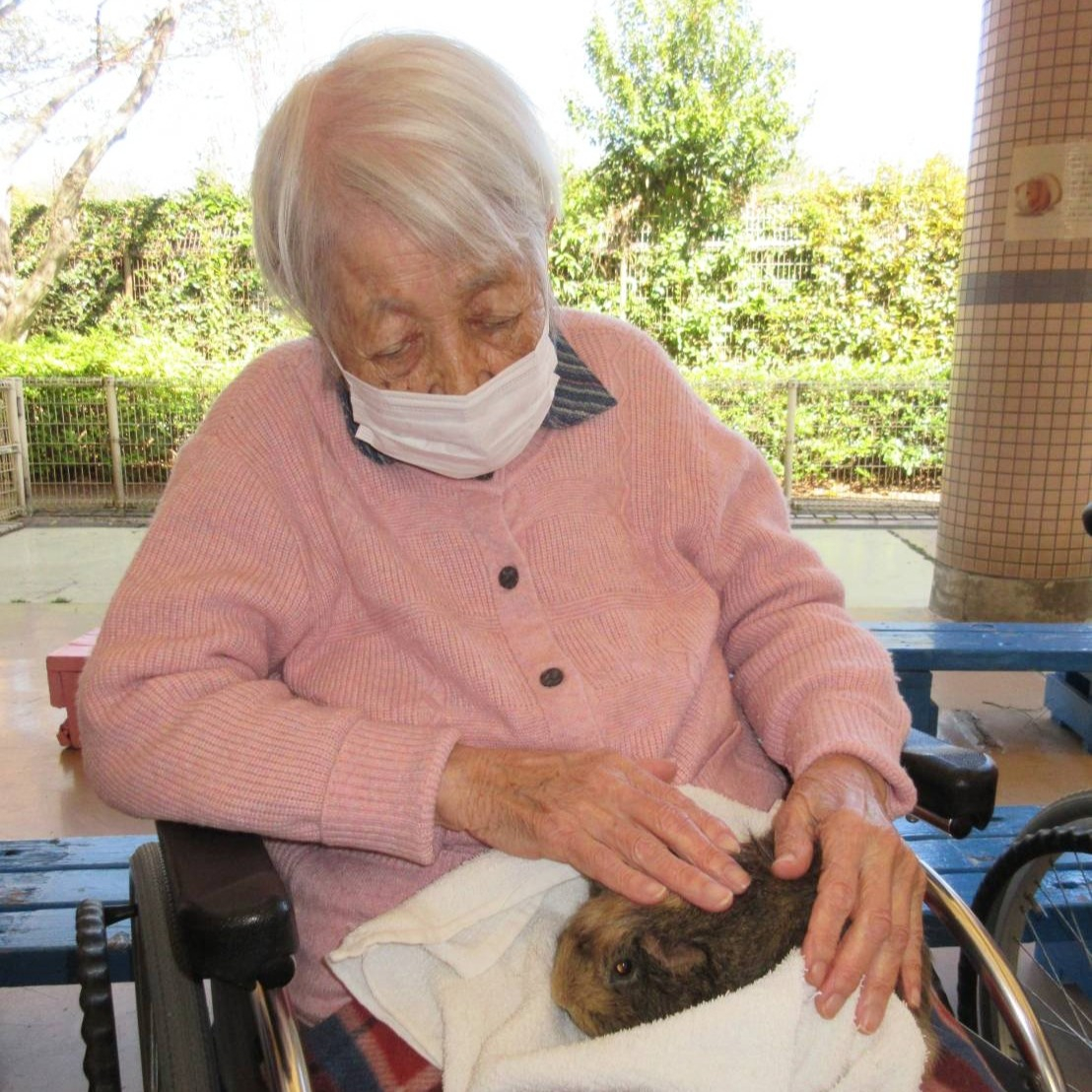 【夢のおでかけレク】