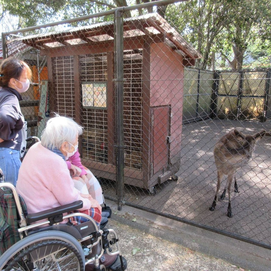 【夢のおでかけレク】