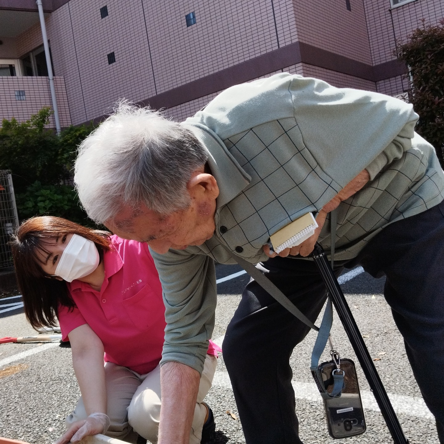 【朝顔🌺種まき】