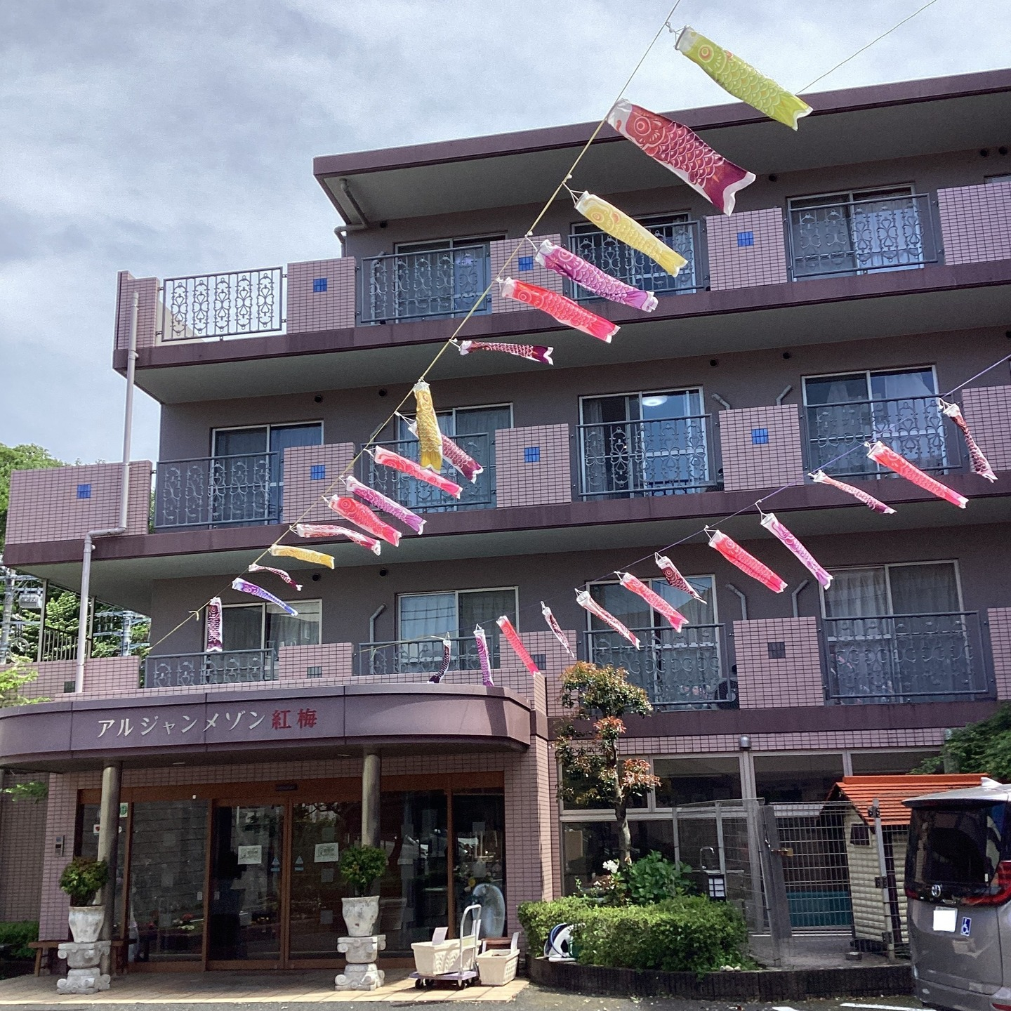 【朝顔🌺種まき】