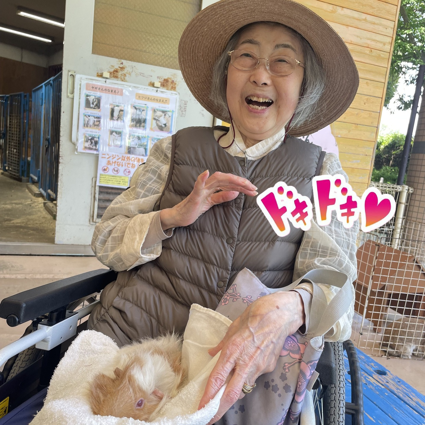 【夢のおでかけレク】