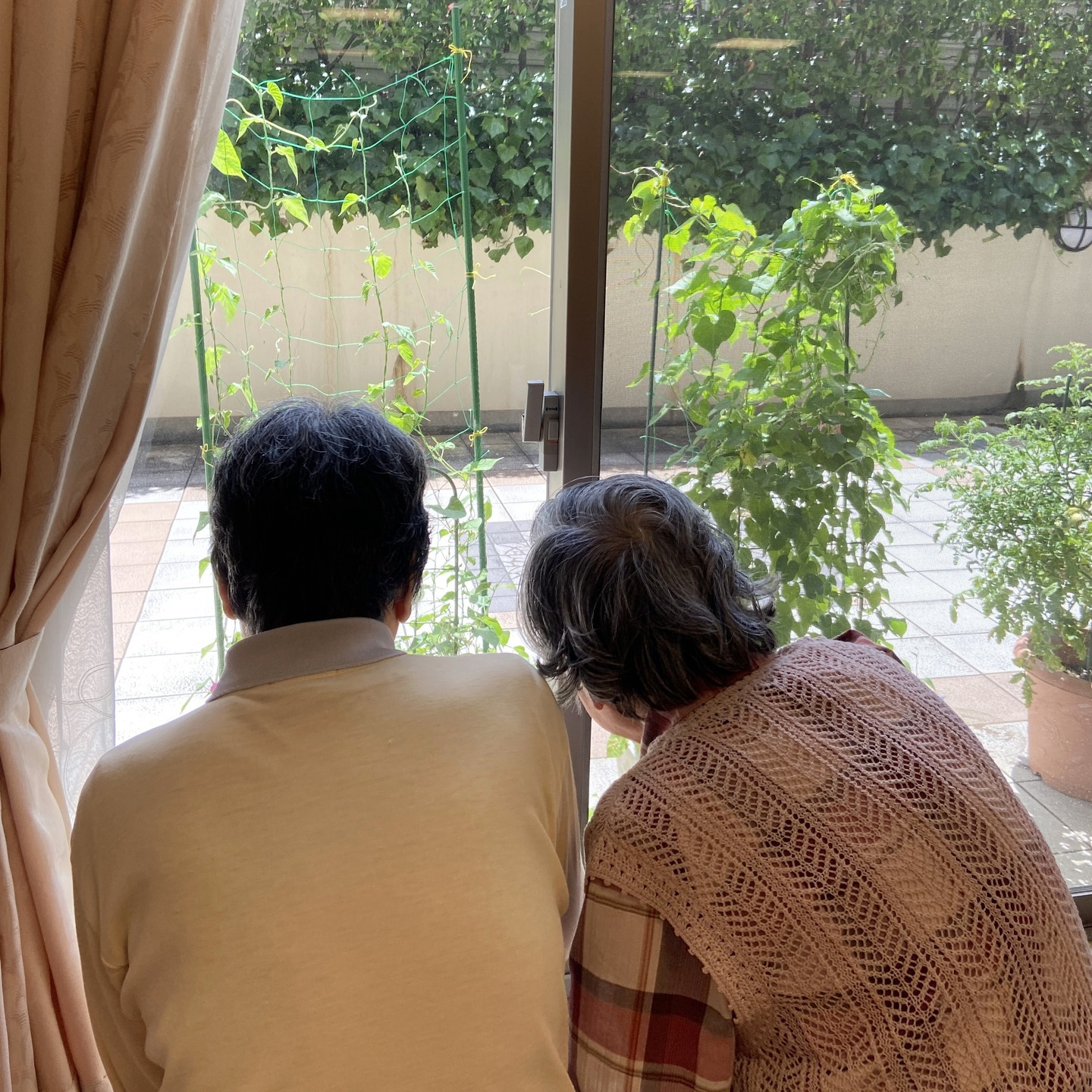 【アルジャン菜園】