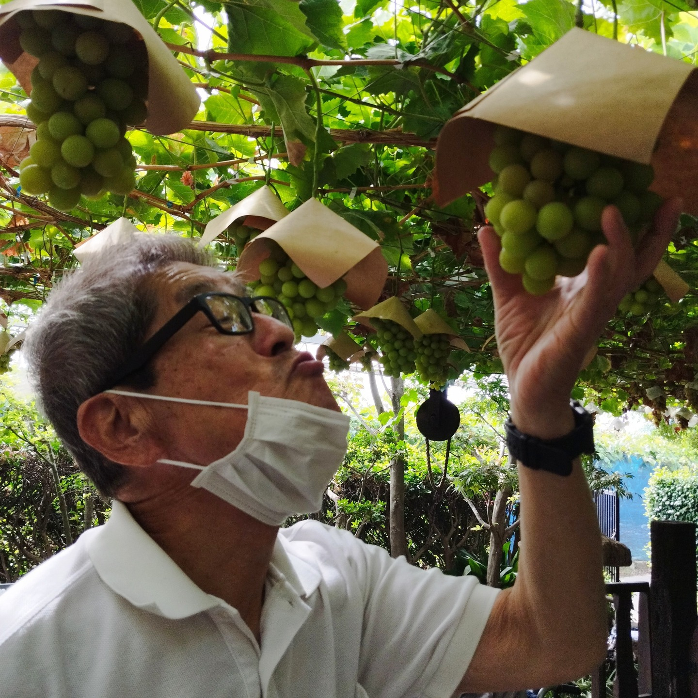 【ぶどう狩り🍇】