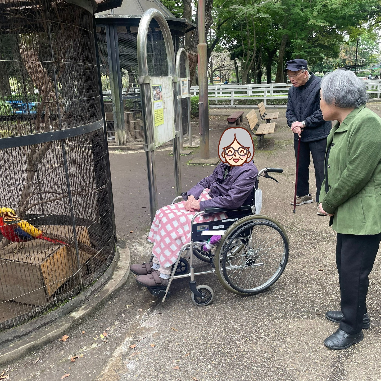 【夢のおでかけレク】