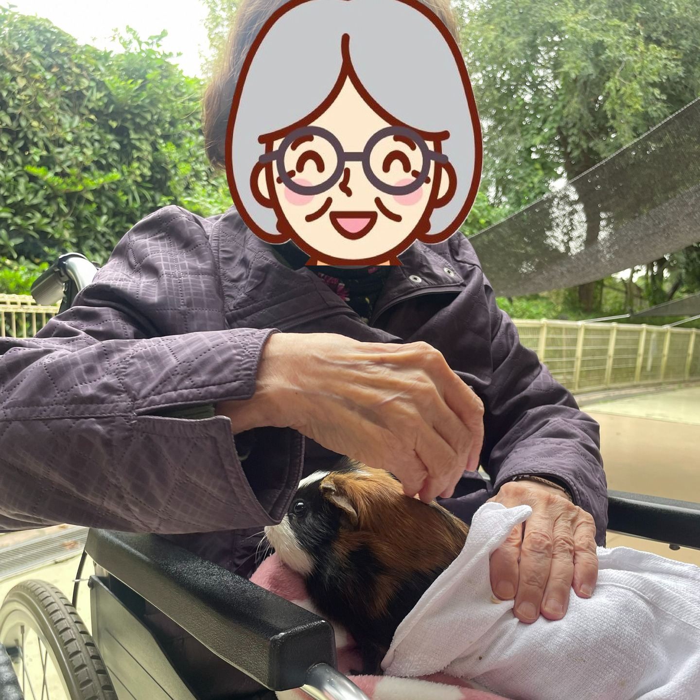 【夢のおでかけレク】