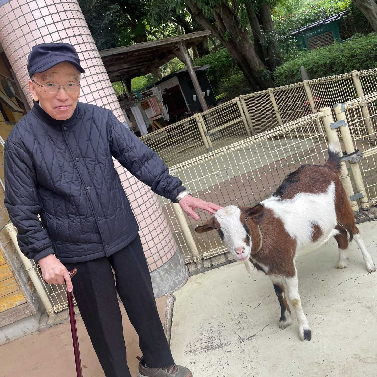 【夢のおでかけレク】