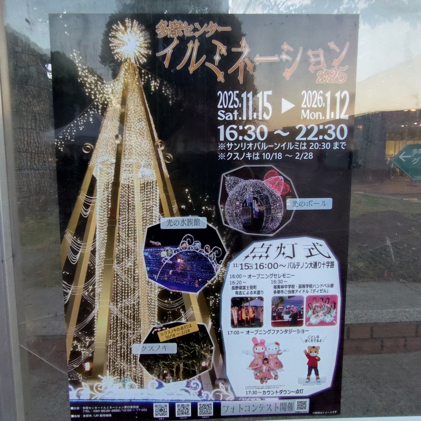 【イルミネーションツアー✨】