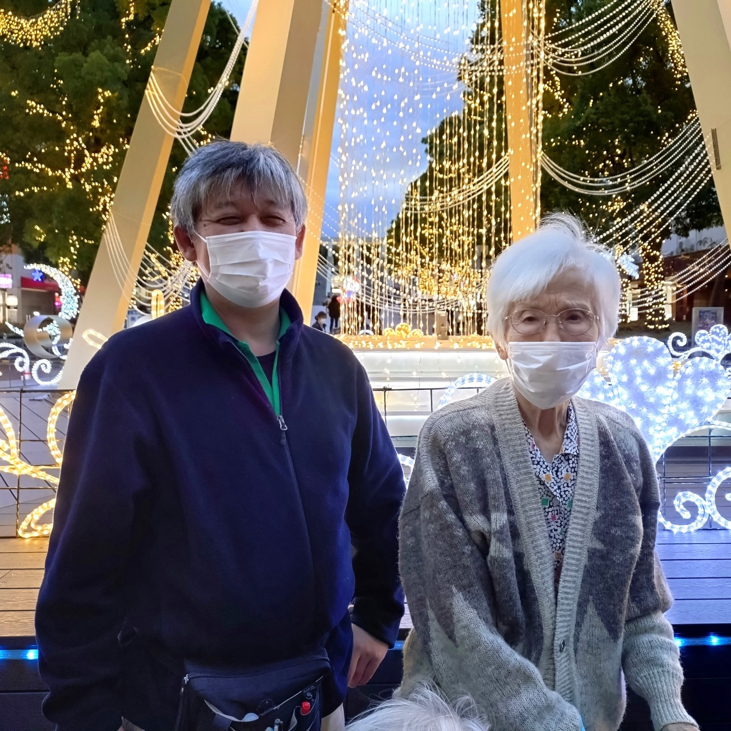 【イルミネーションツアー✨】