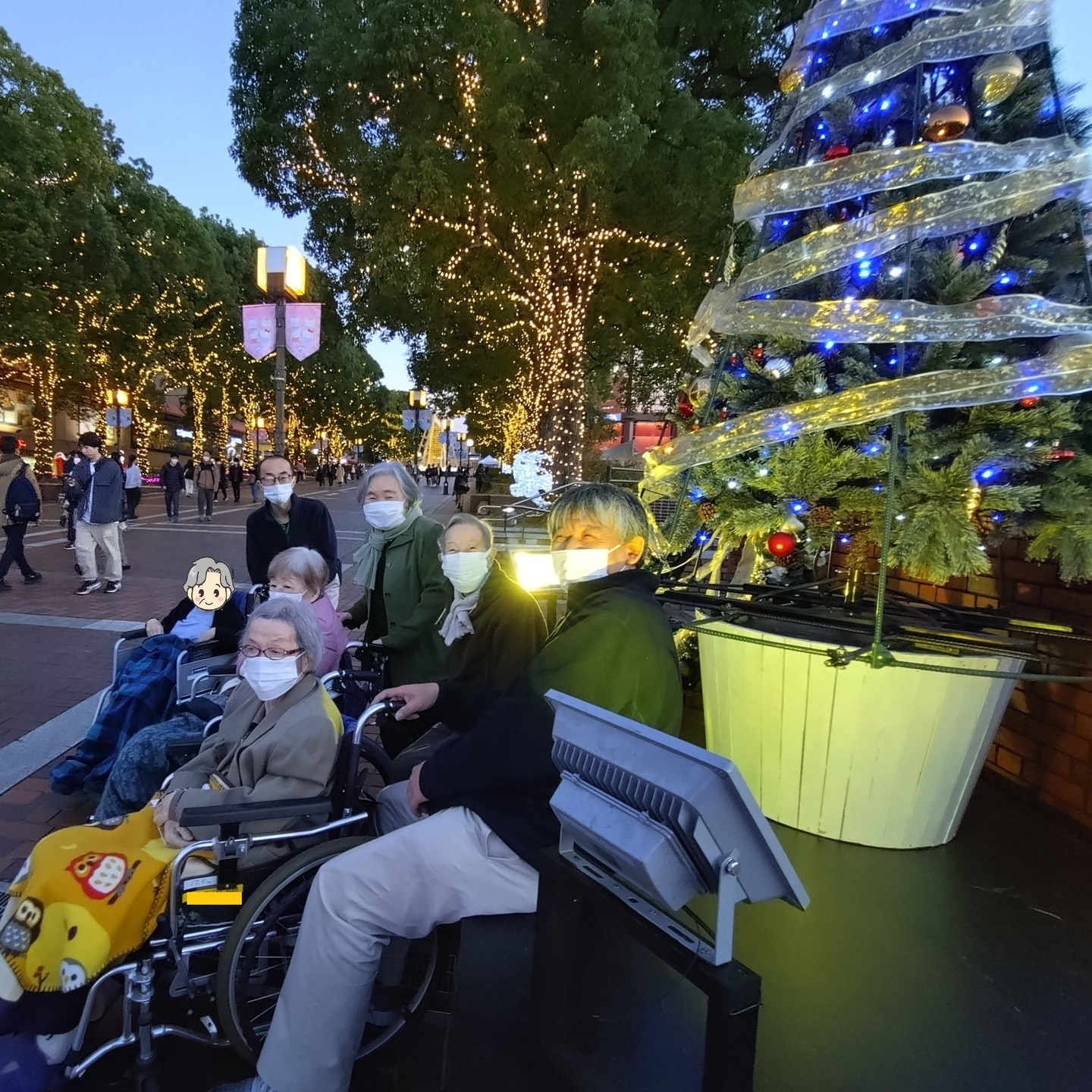 【イルミネーションツアー✨】