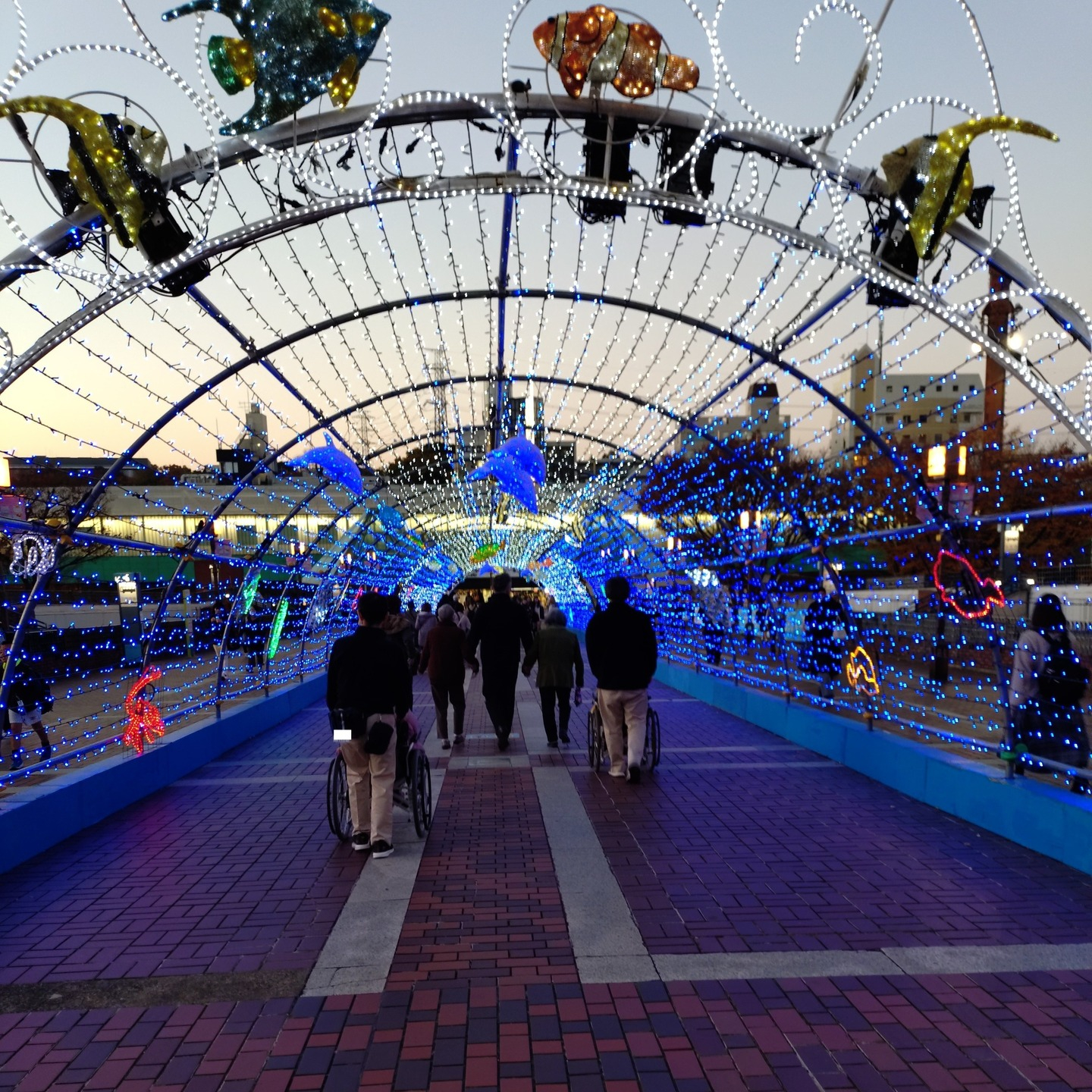 【イルミネーションツアー✨】