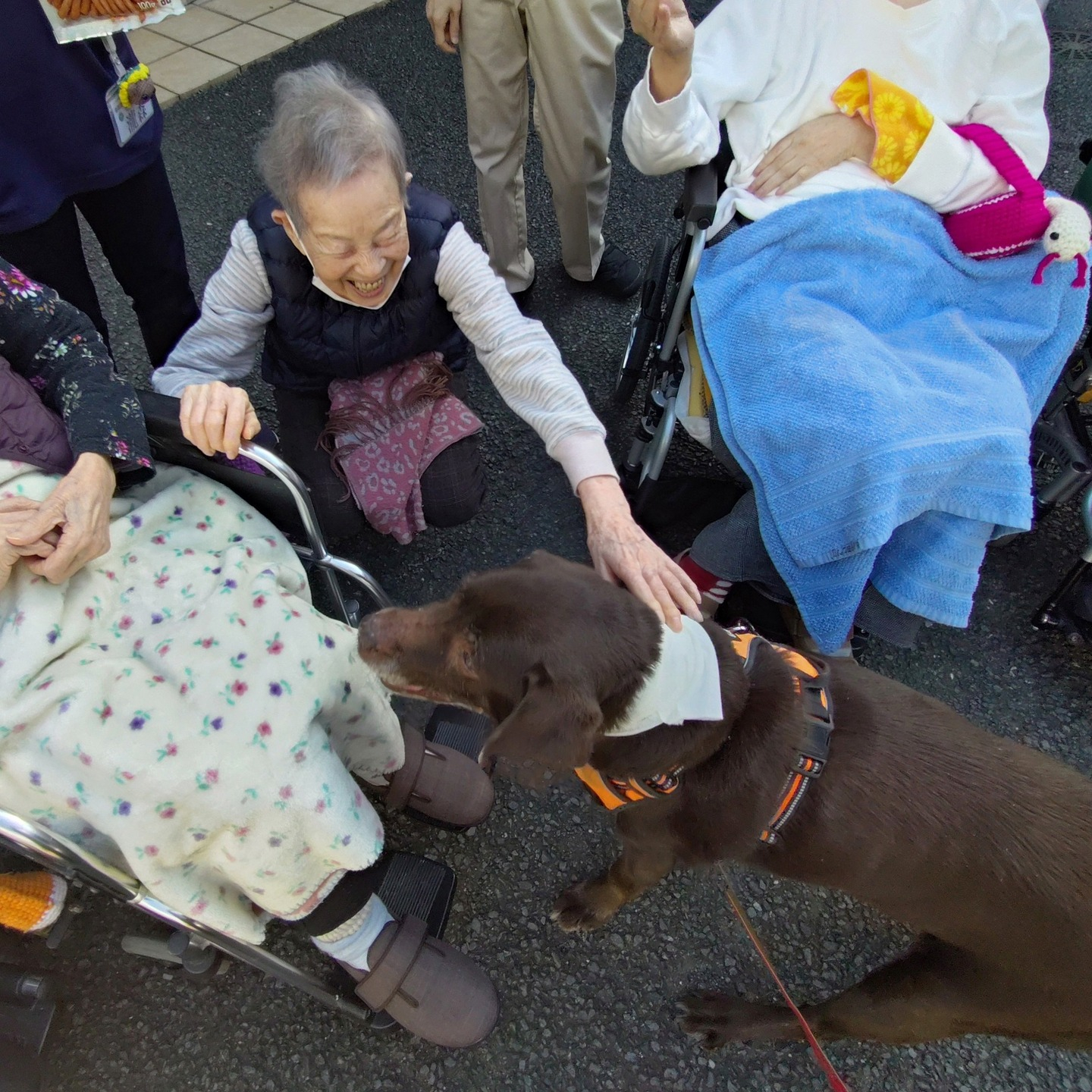 【うめちゃん　お別れ会】