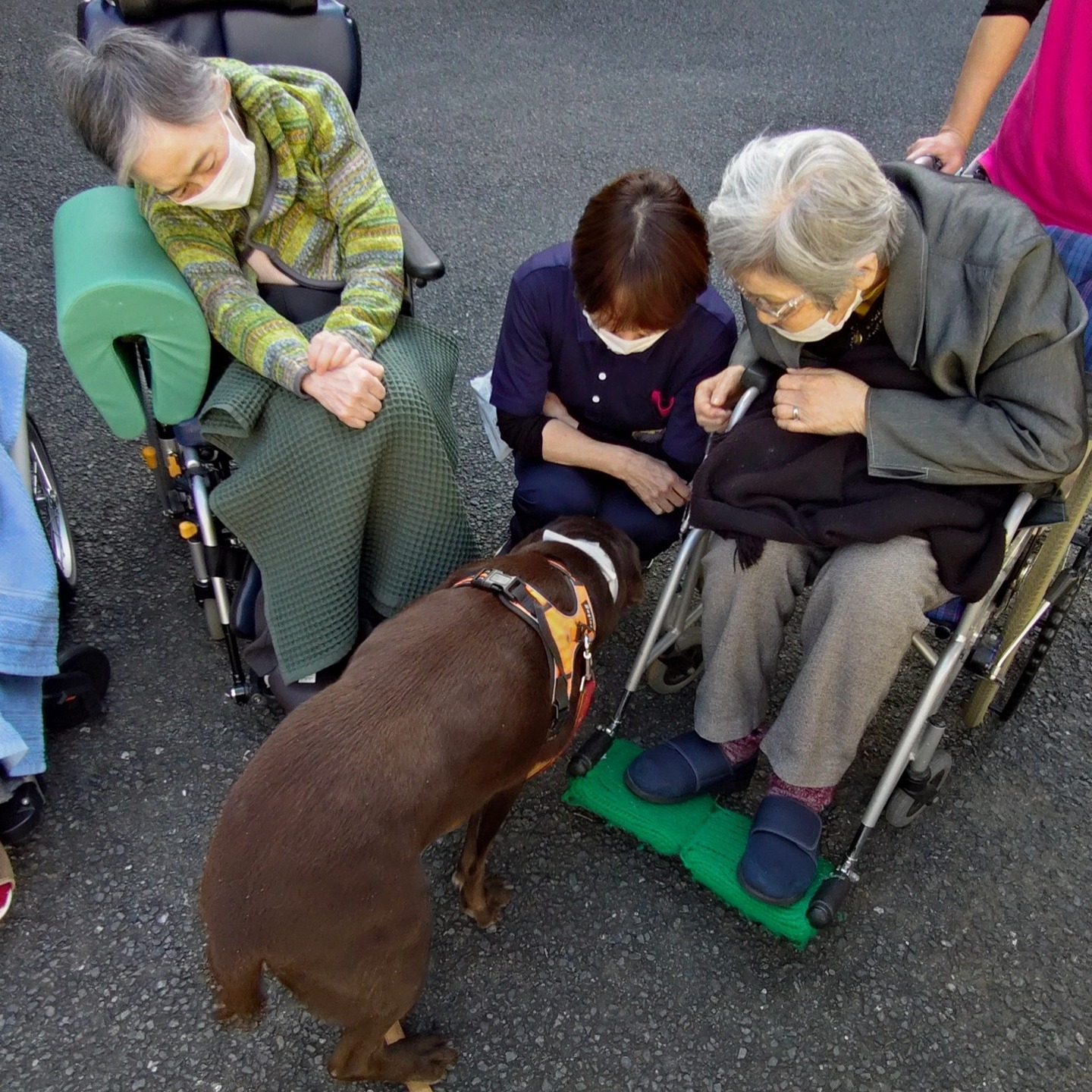 【うめちゃん　お別れ会】