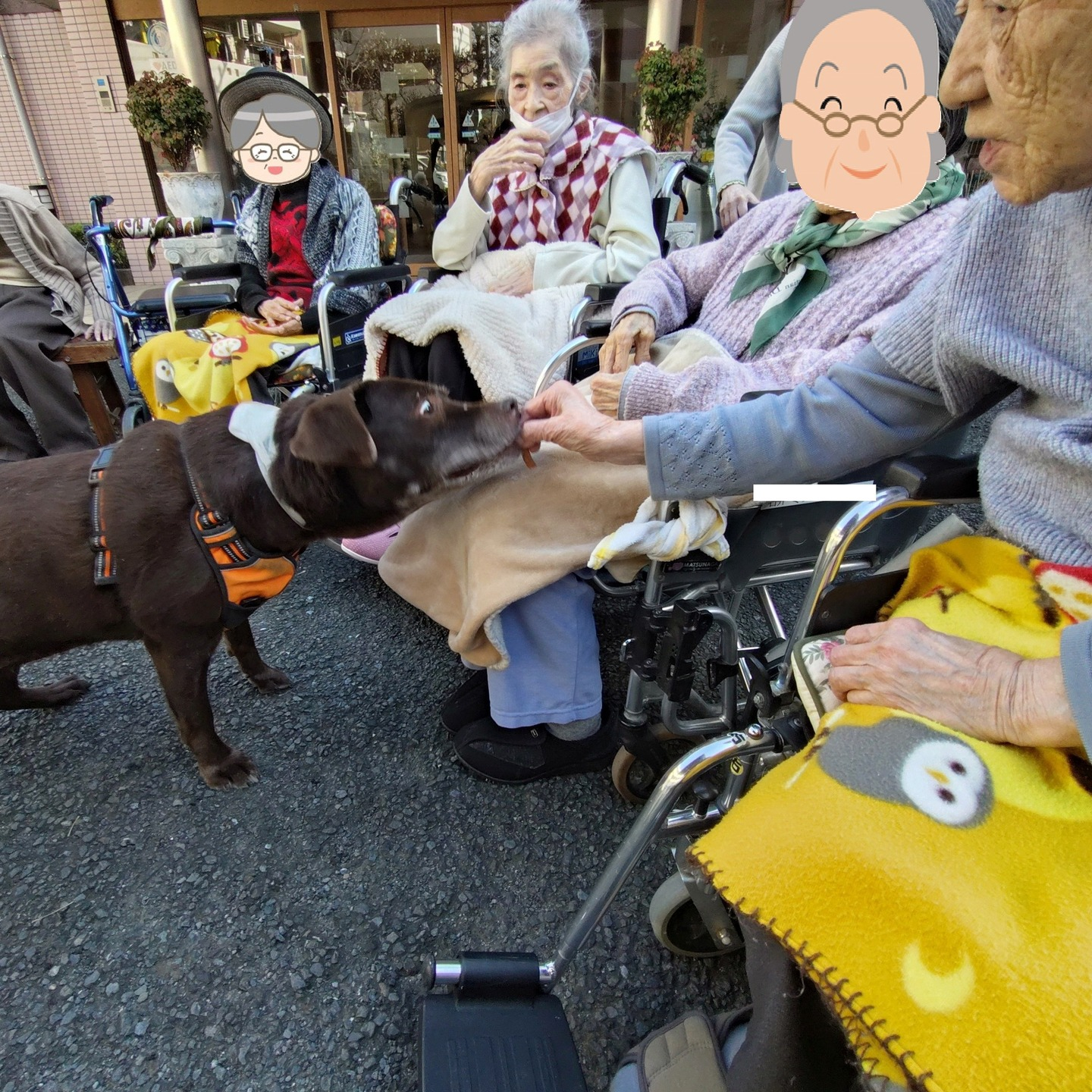 【うめちゃん　お別れ会】