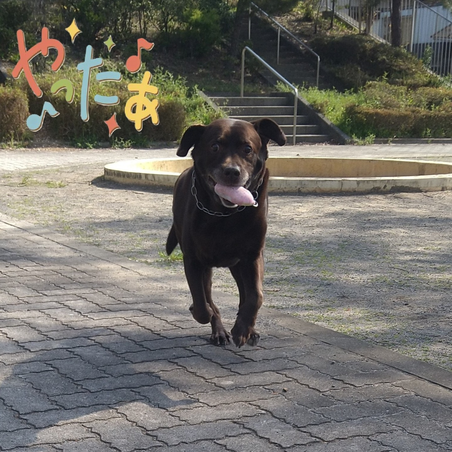 【うめちゃん特集】12歳