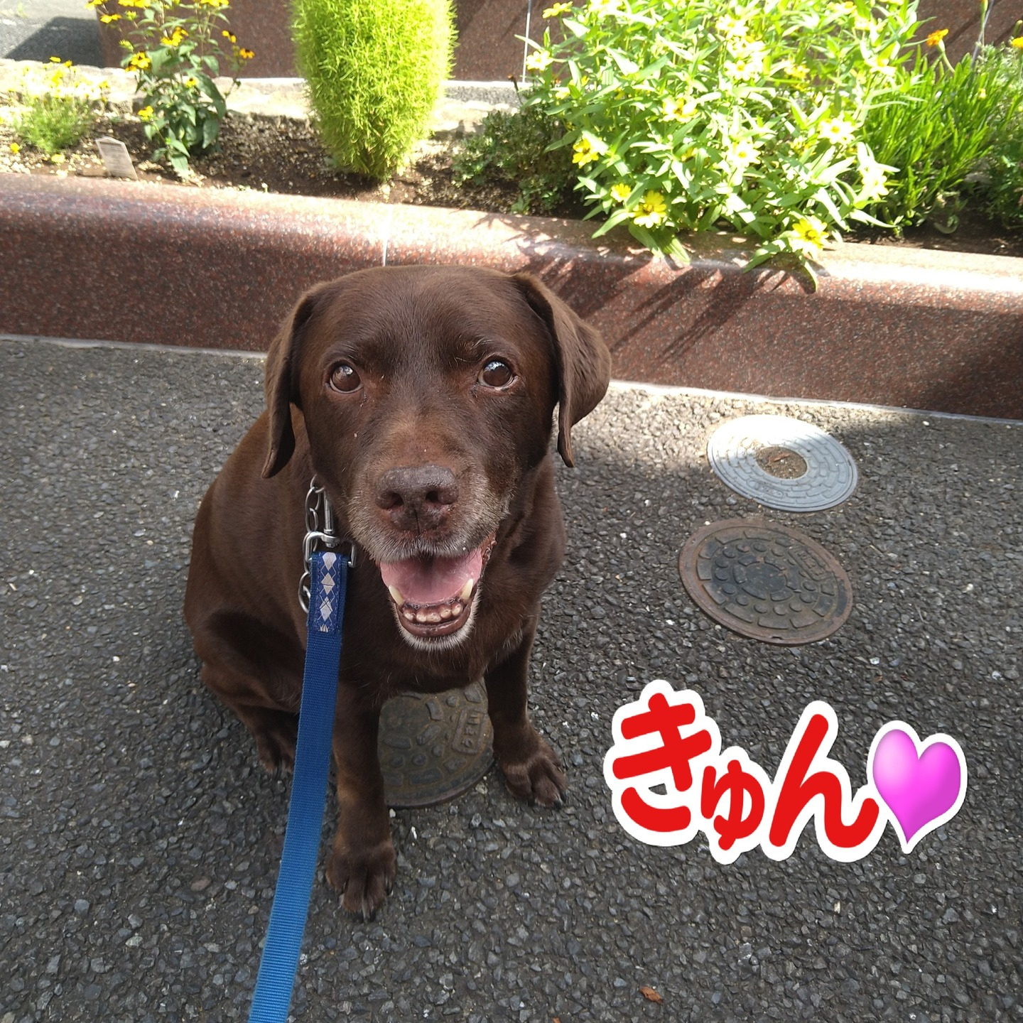 【うめちゃん特集】12歳