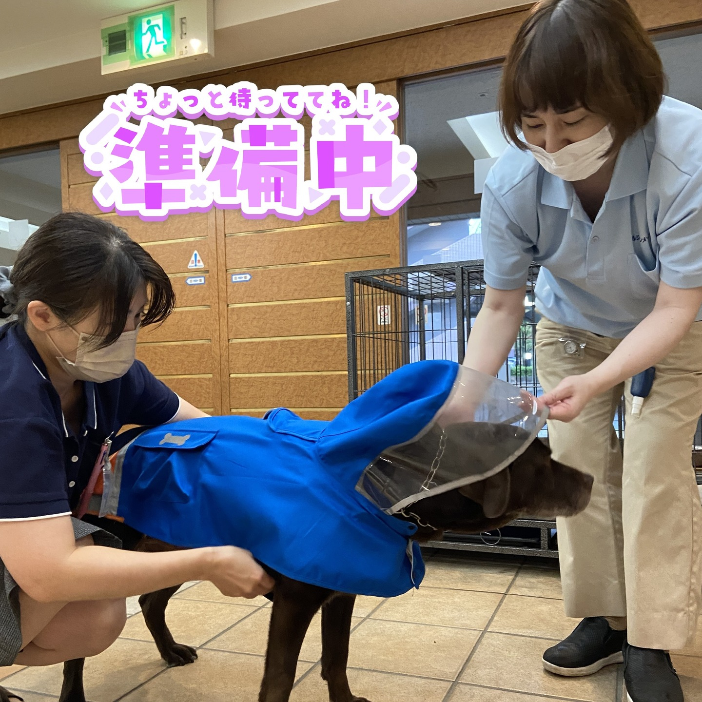 【うめちゃん特集】12歳