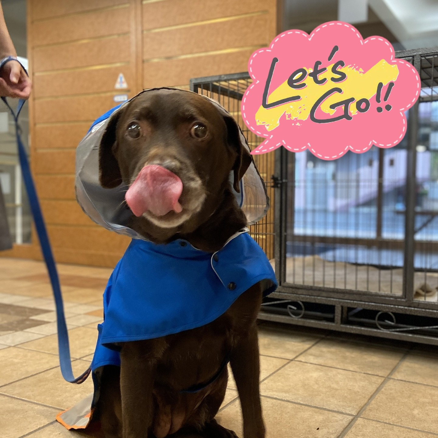 【うめちゃん特集】12歳