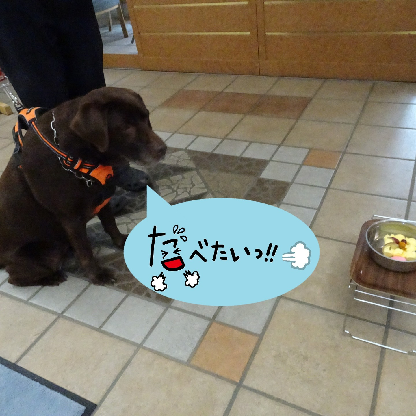 【うめちゃん特集】12歳