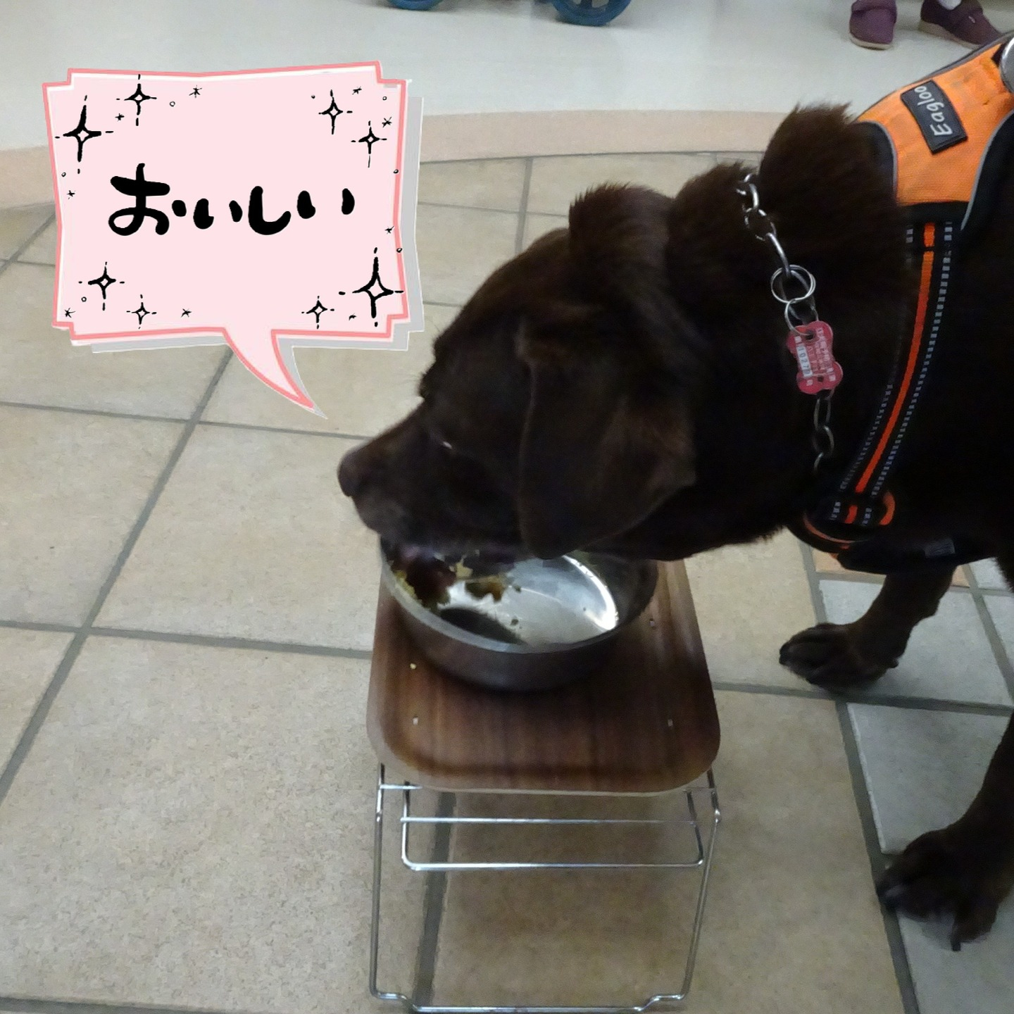 【うめちゃん特集】12歳