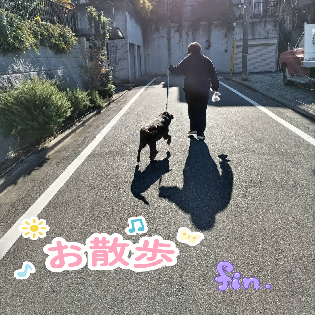 【うめちゃん特集　13歳　お別れ】