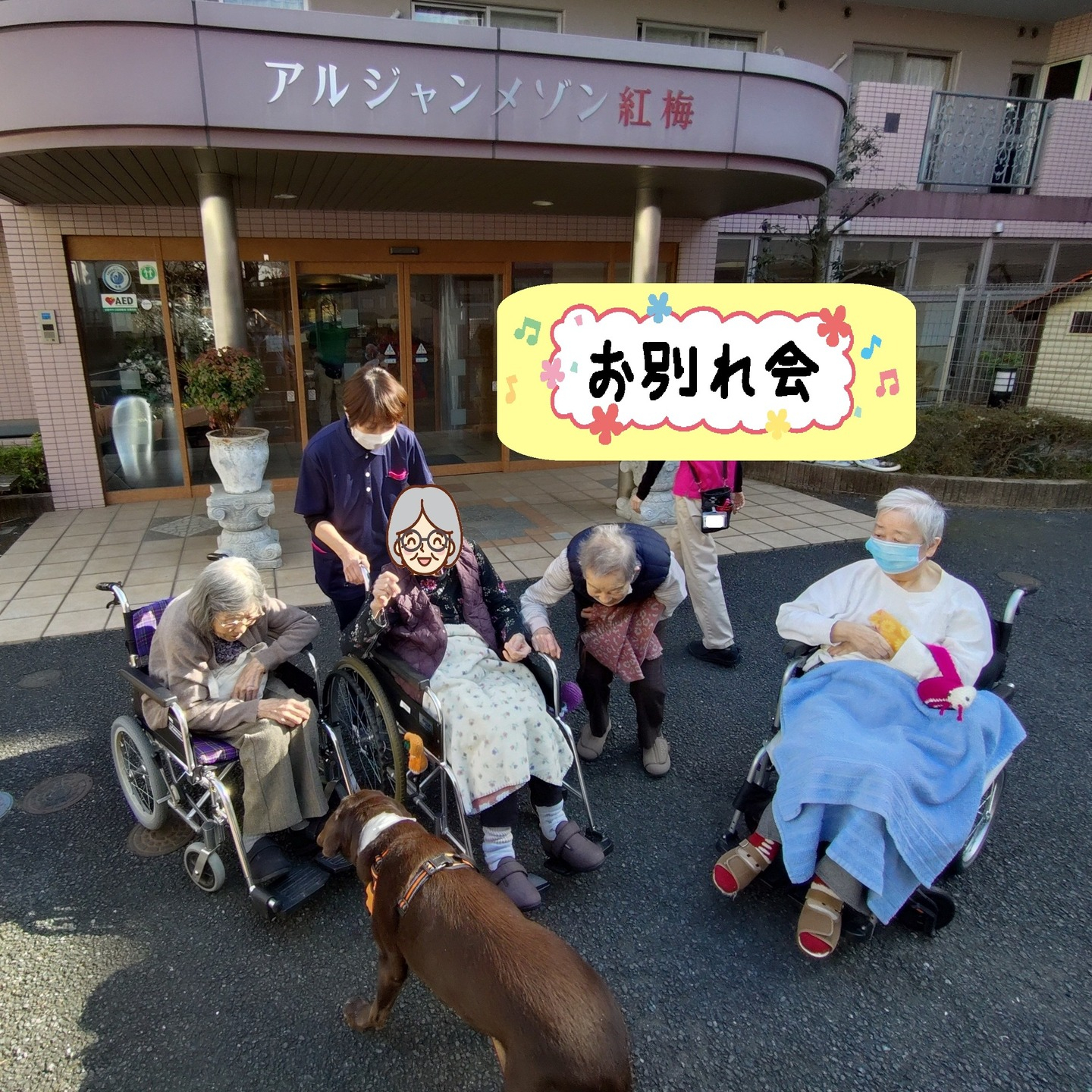 【うめちゃん特集　13歳　お別れ】