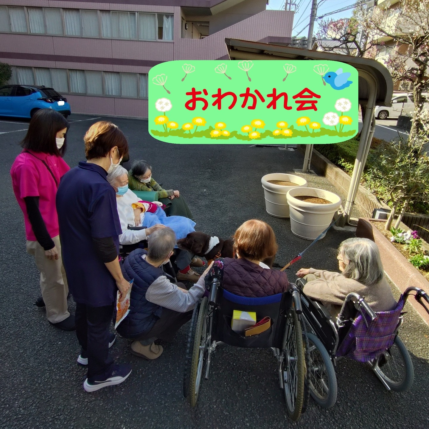 【うめちゃん特集　13歳　お別れ】