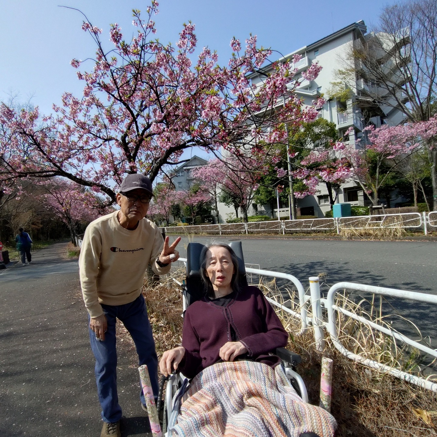 【さくらドライブ　長池公園】