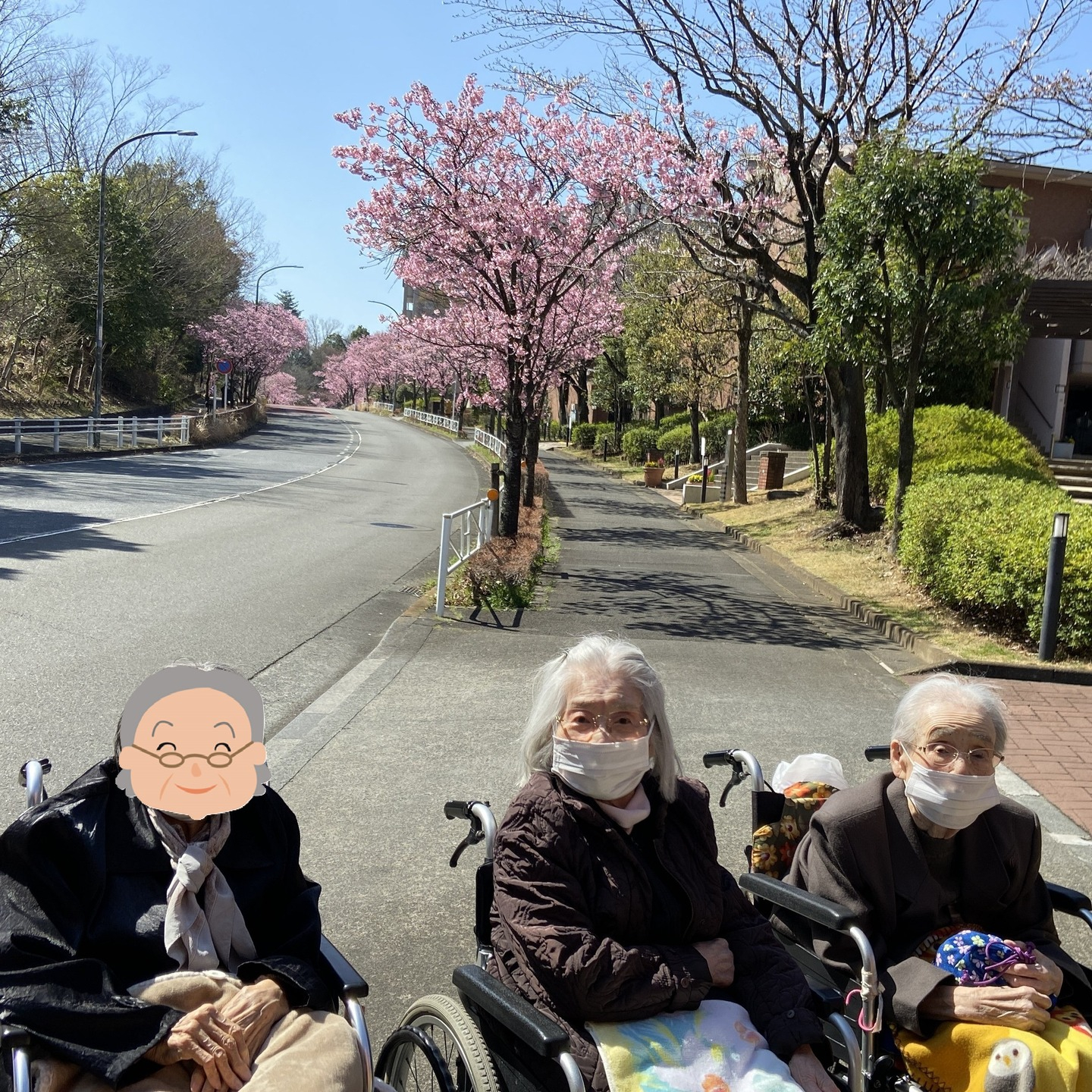 【さくらドライブ 長池公園】