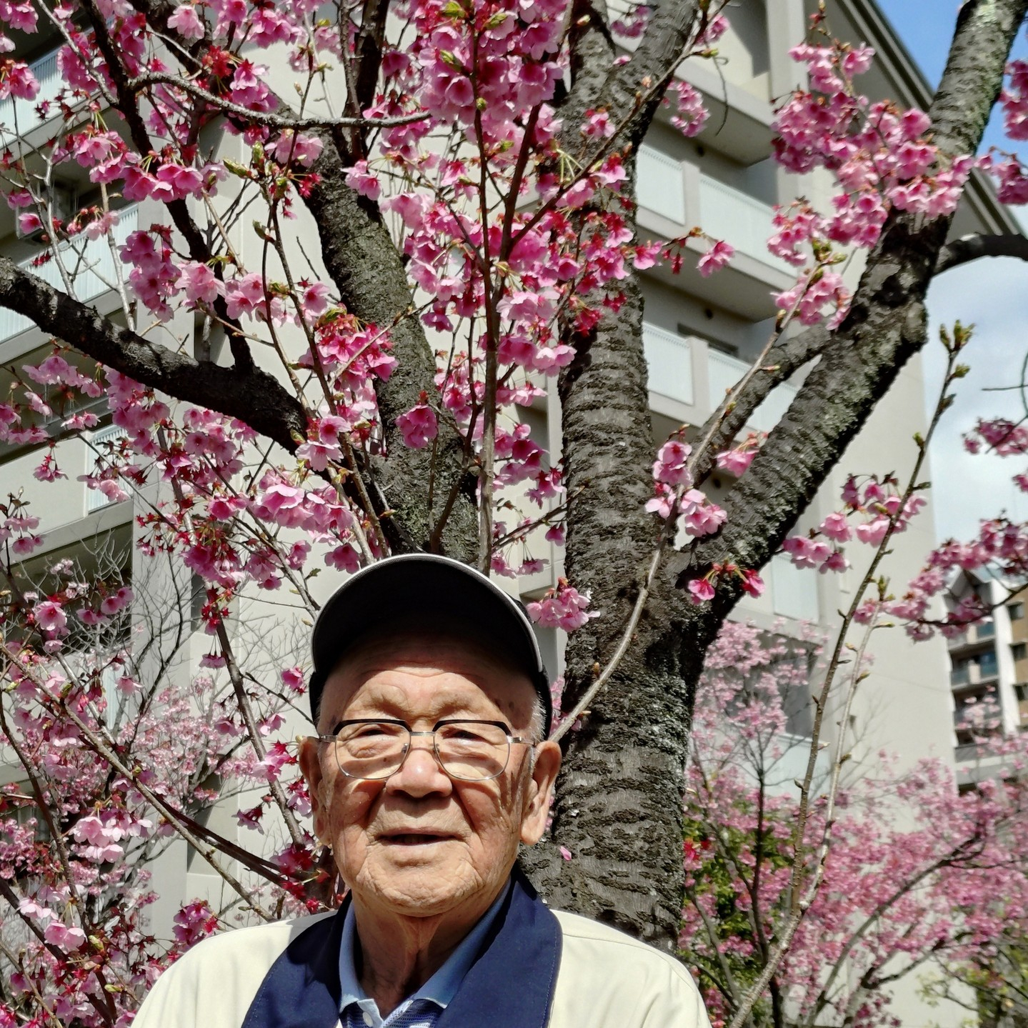 【さくらドライブ 長池公園】