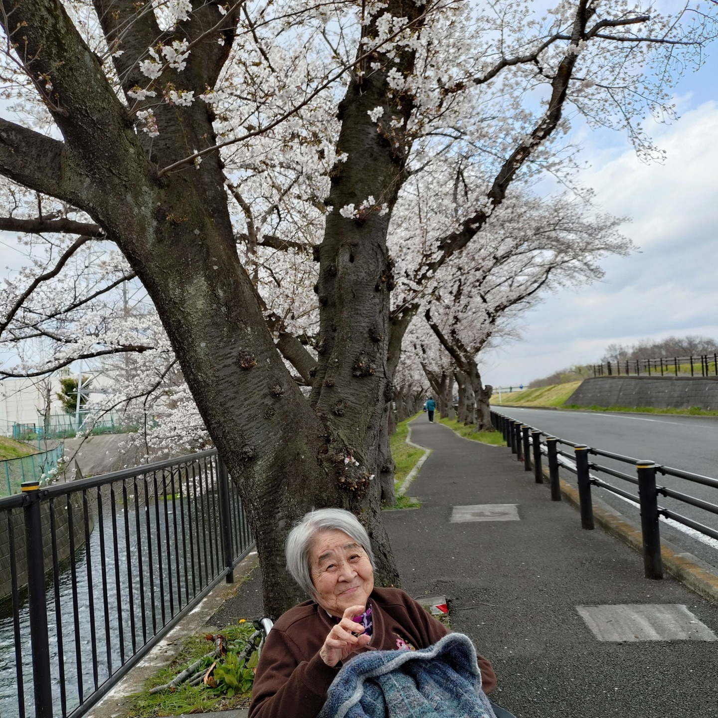 【さくらドライブ　日野】