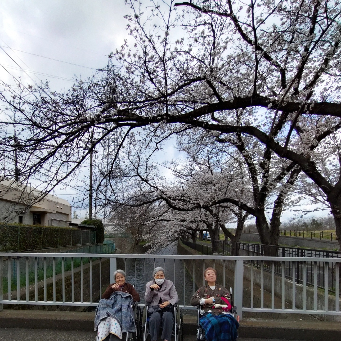 【さくらドライブ　日野】