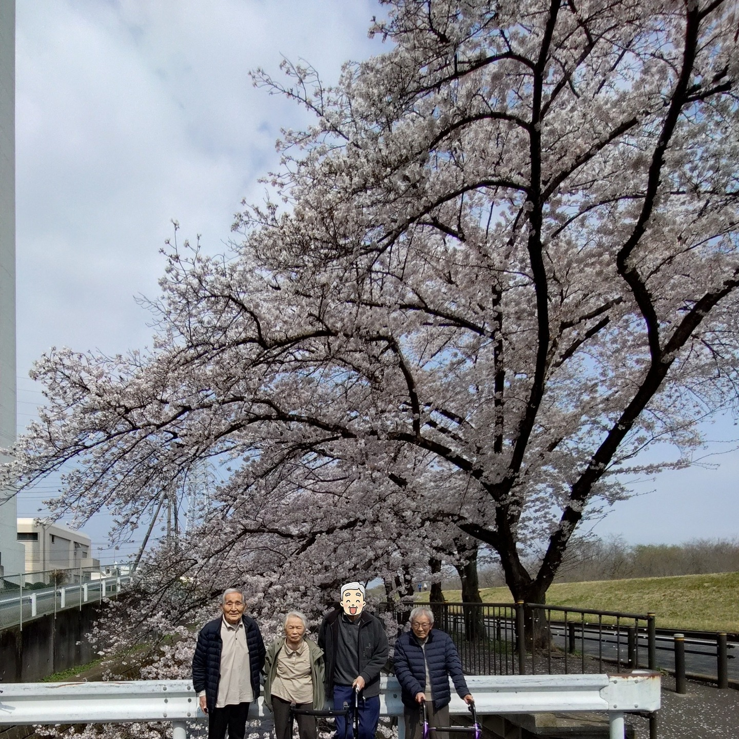 【さくらドライブ　日野】