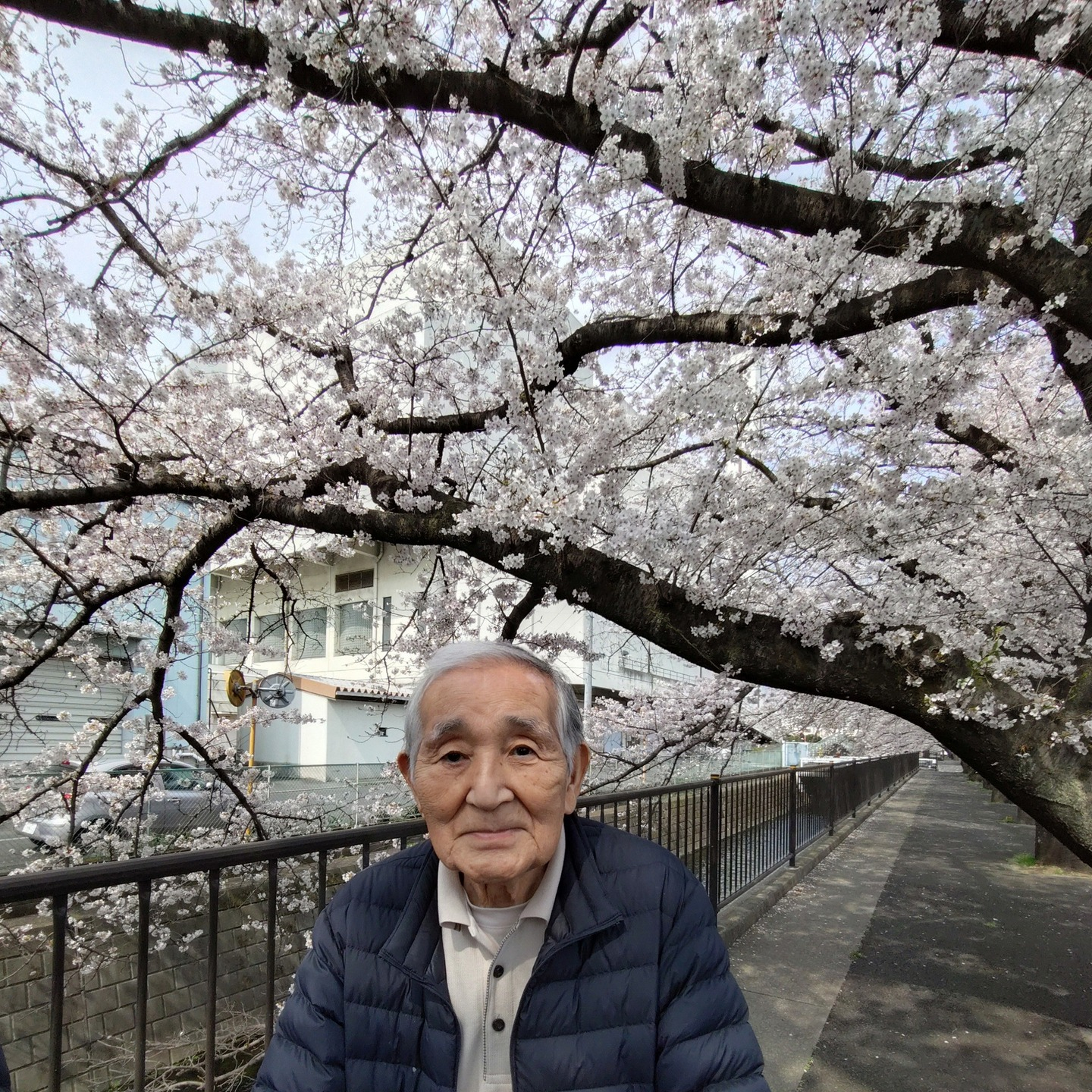 【さくらドライブ　日野】