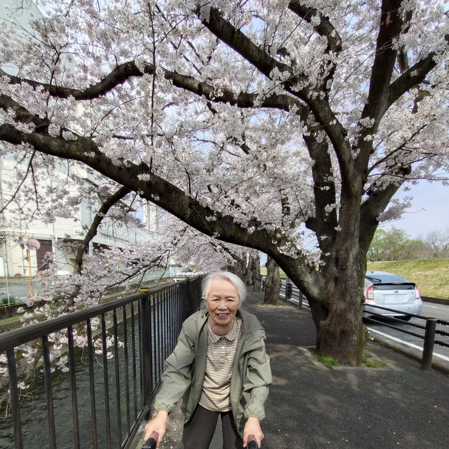 【さくらドライブ　日野】
